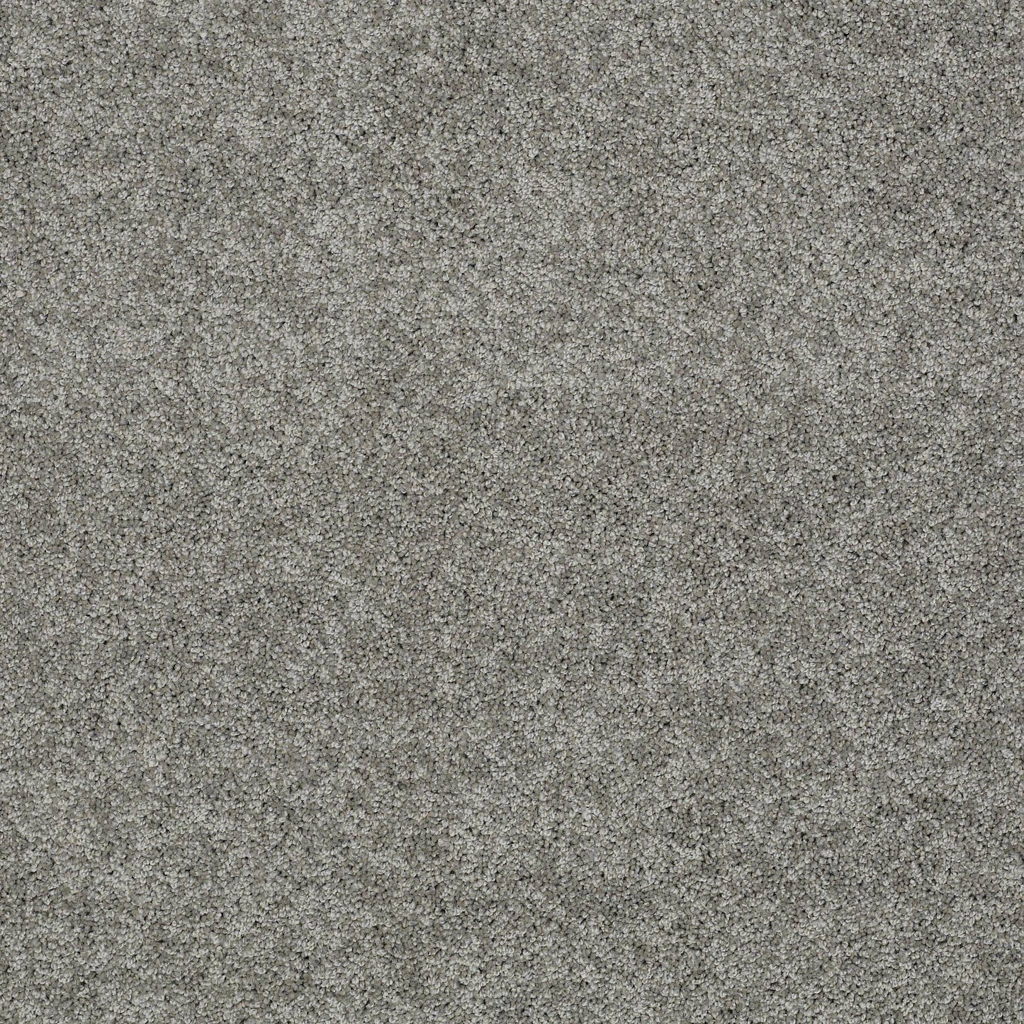 TEXTURE BCF