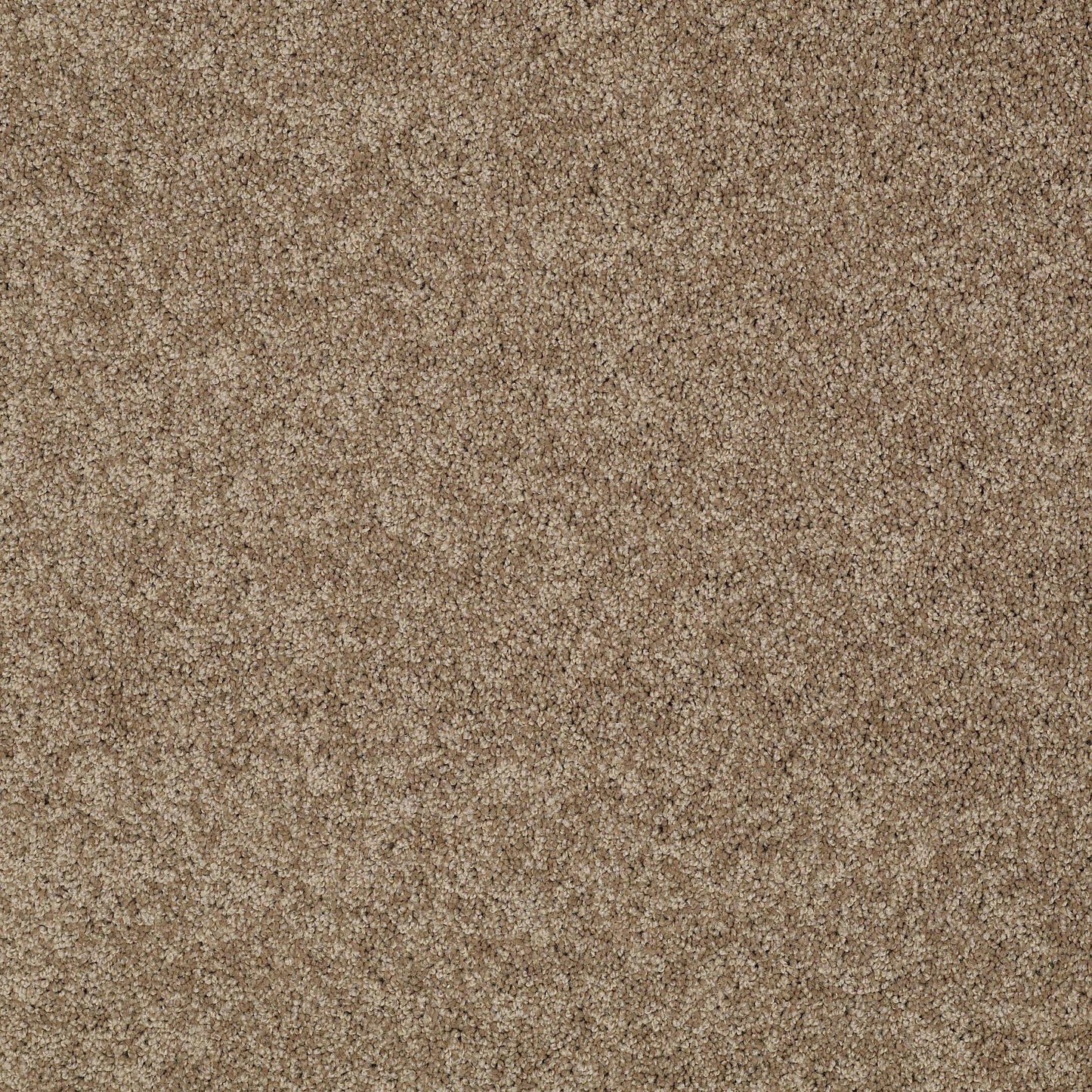 TEXTURE BCF
