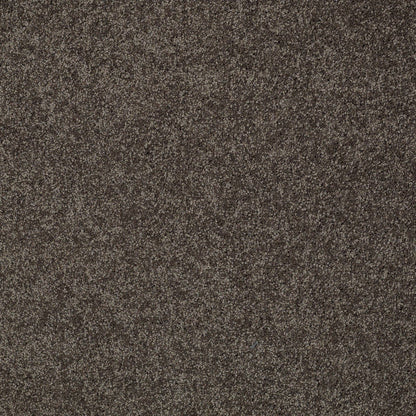 TEXTURE BCF