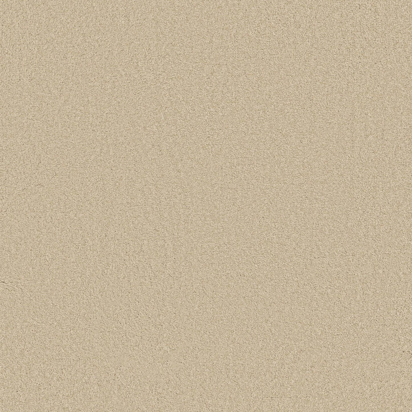 TEXTURE BCF