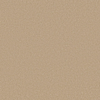 TEXTURE BCF