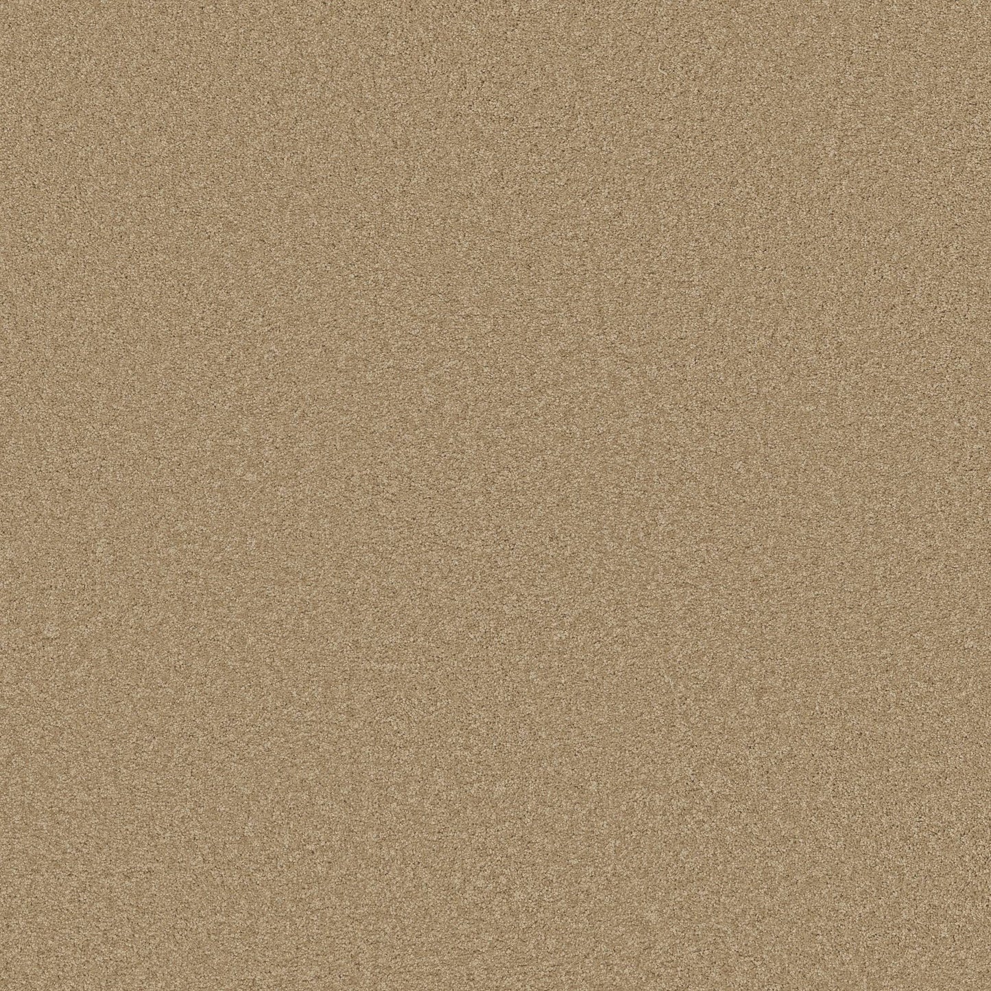 TEXTURE BCF
