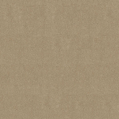 TEXTURE BCF