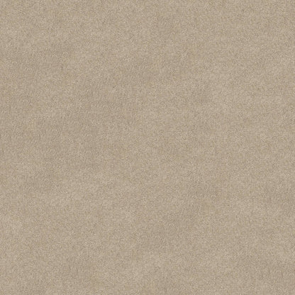 TEXTURE BCF
