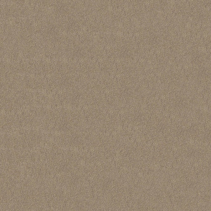 TEXTURE BCF