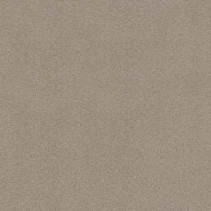 TEXTURE BCF