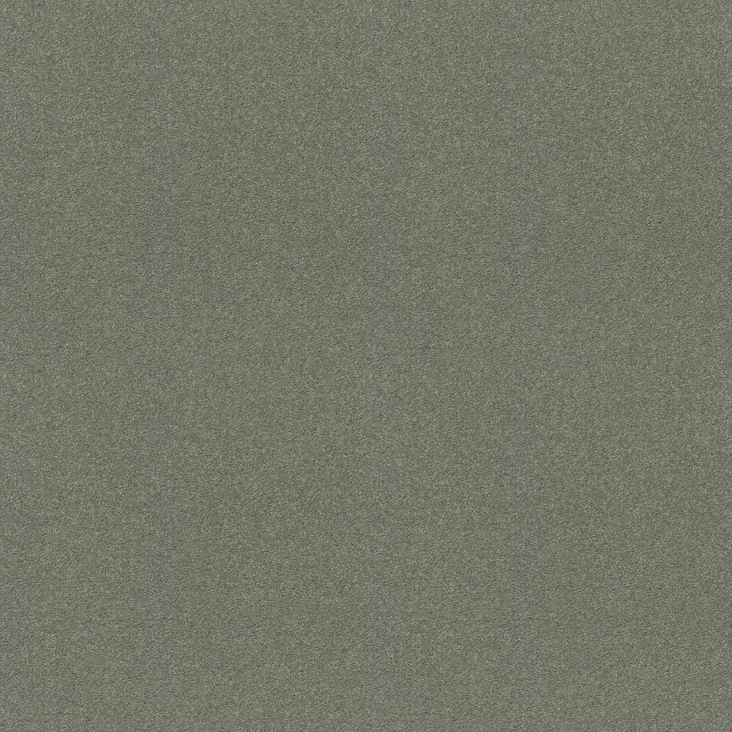 TEXTURE BCF