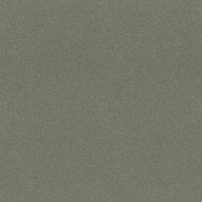 TEXTURE BCF