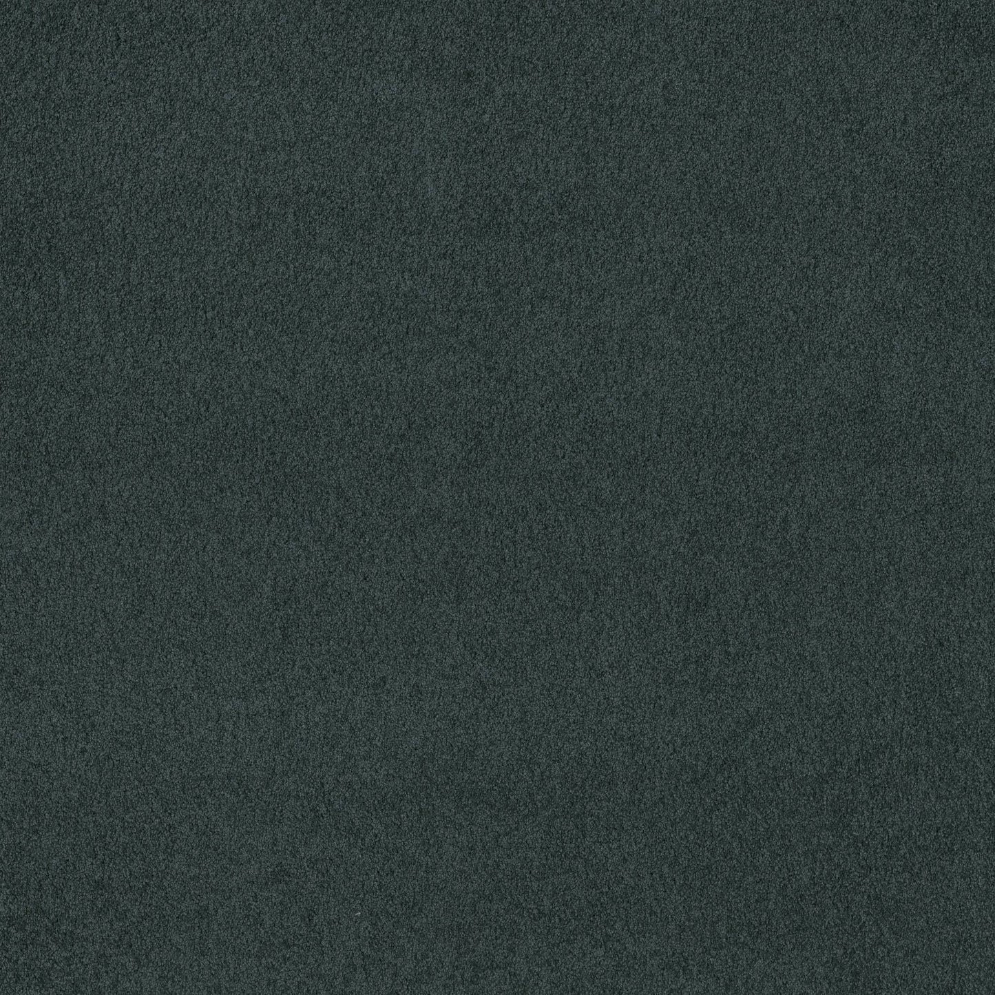 TEXTURE BCF