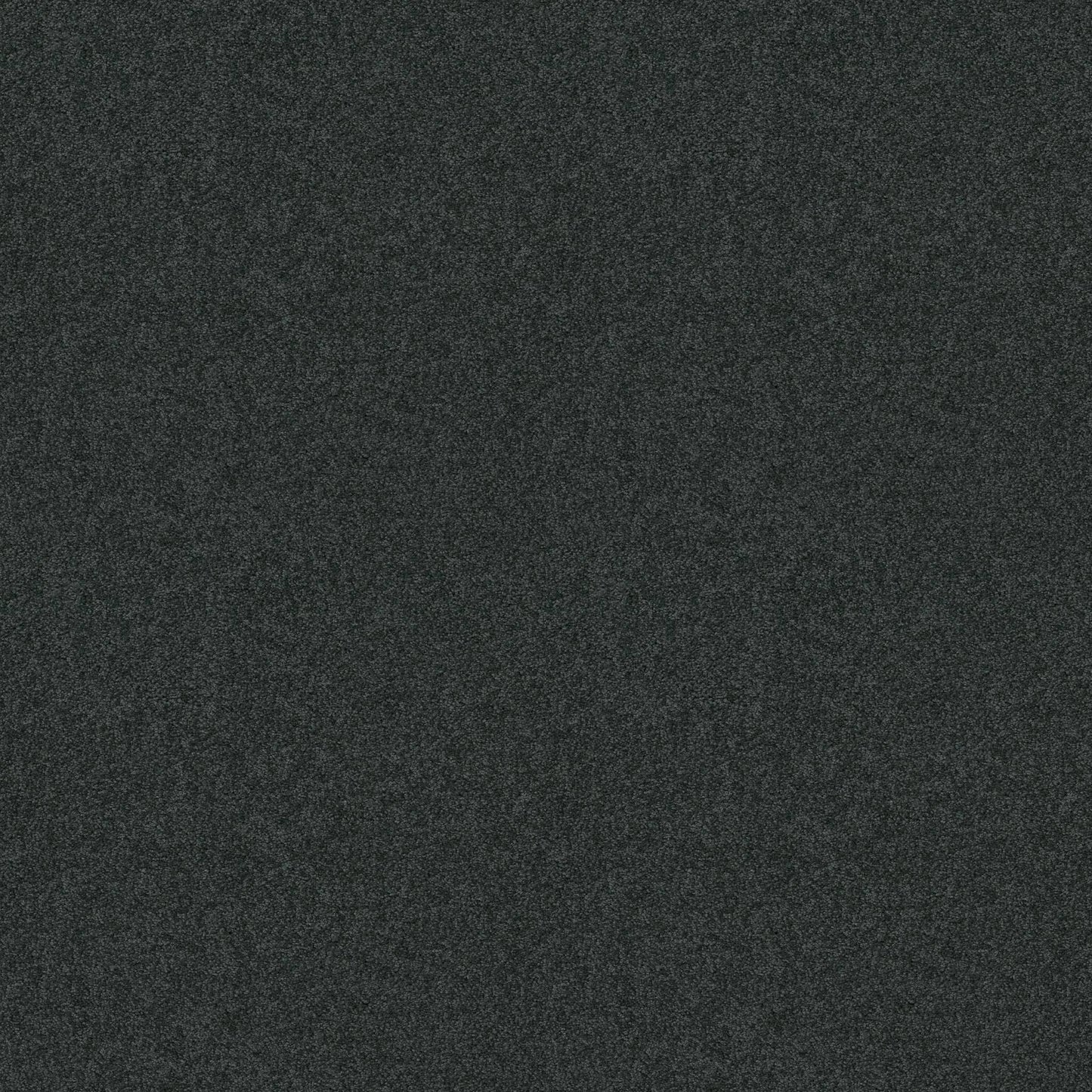 TEXTURE BCF