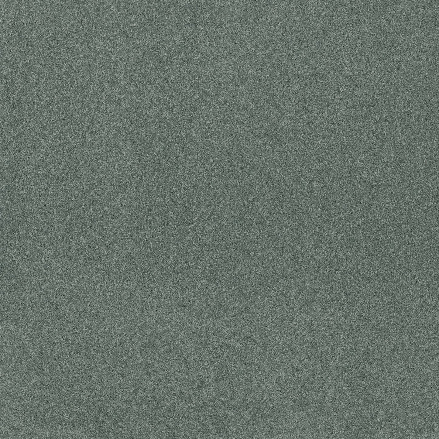 TEXTURE BCF