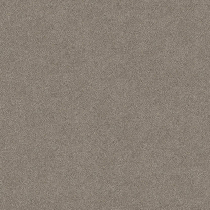 TEXTURE BCF