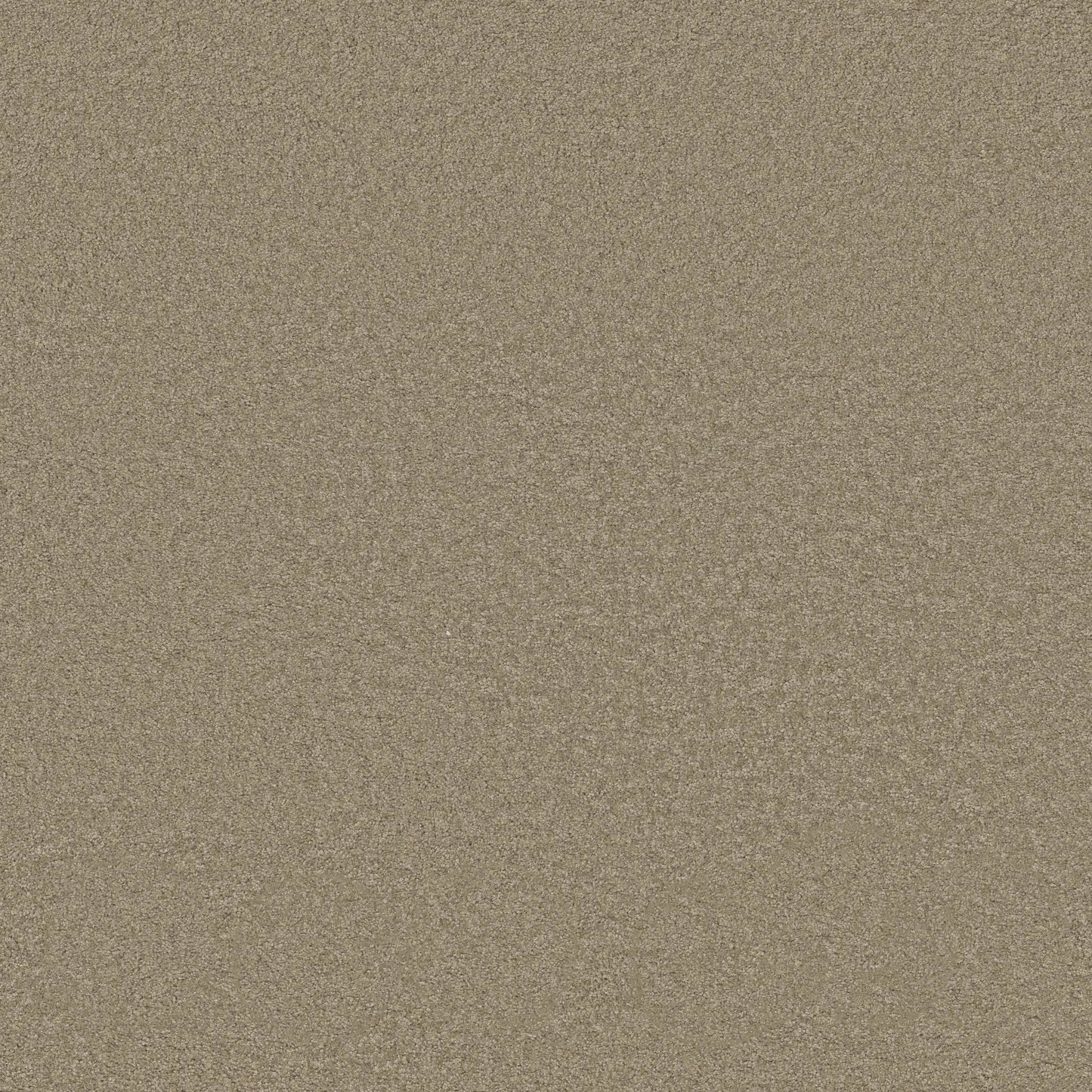 TEXTURE BCF