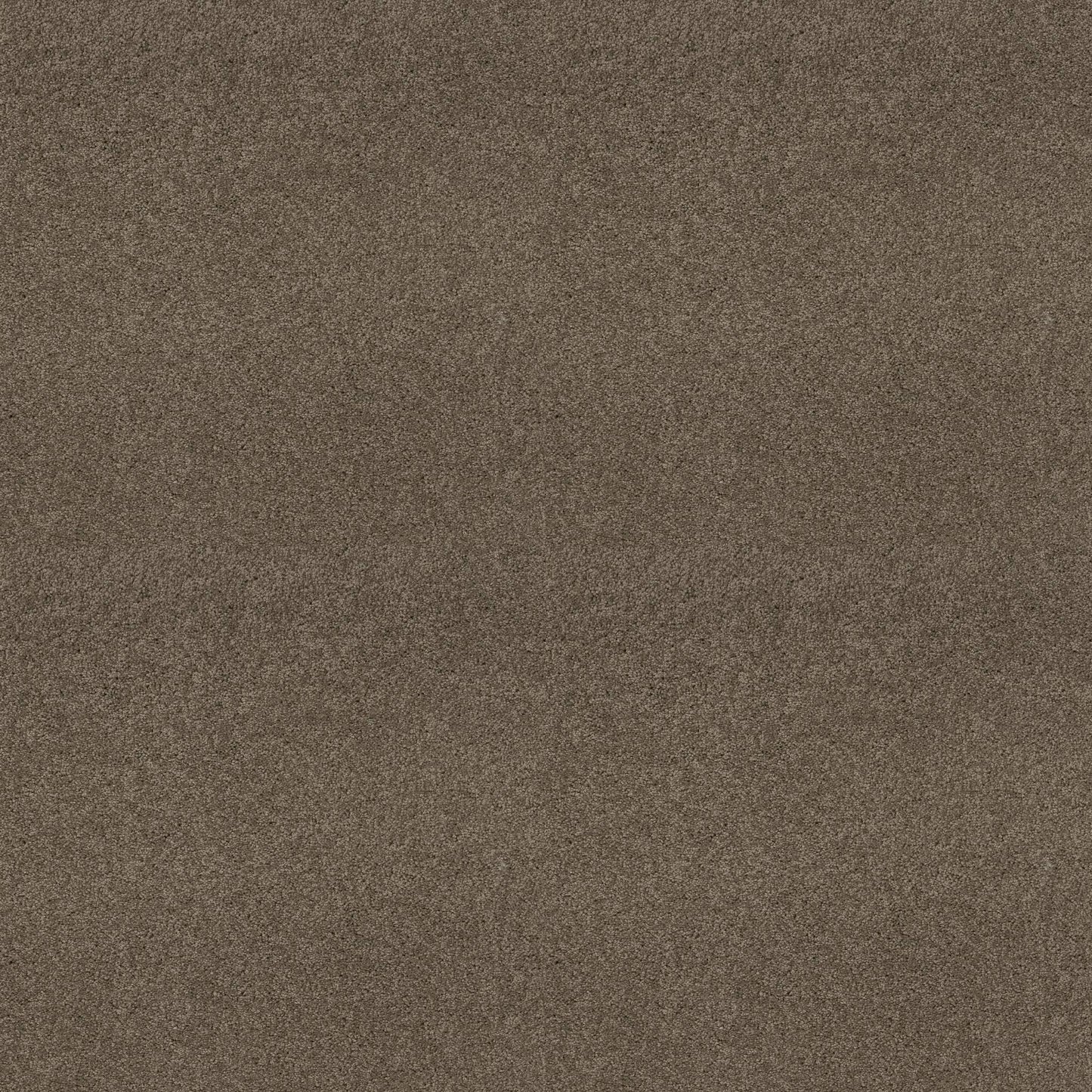 TEXTURE BCF