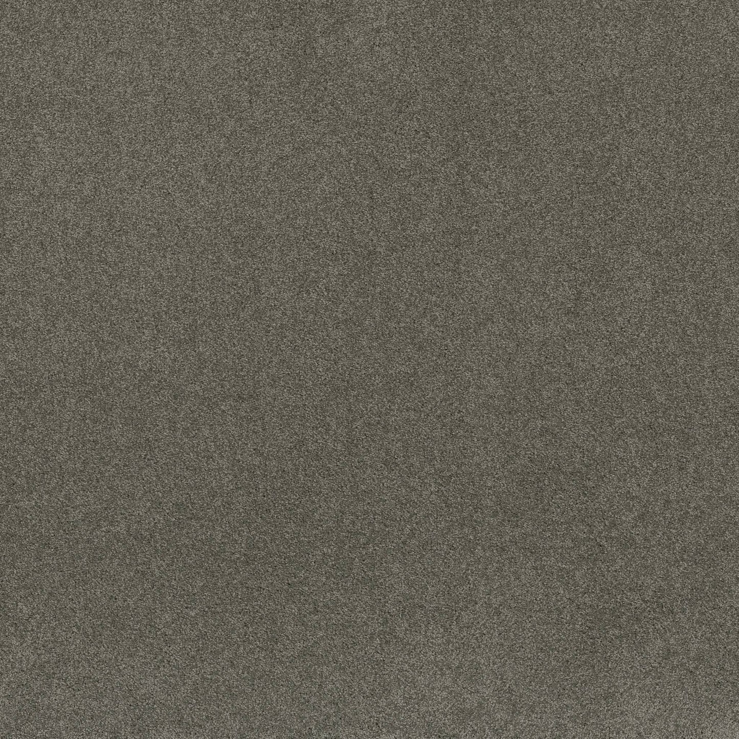 TEXTURE BCF