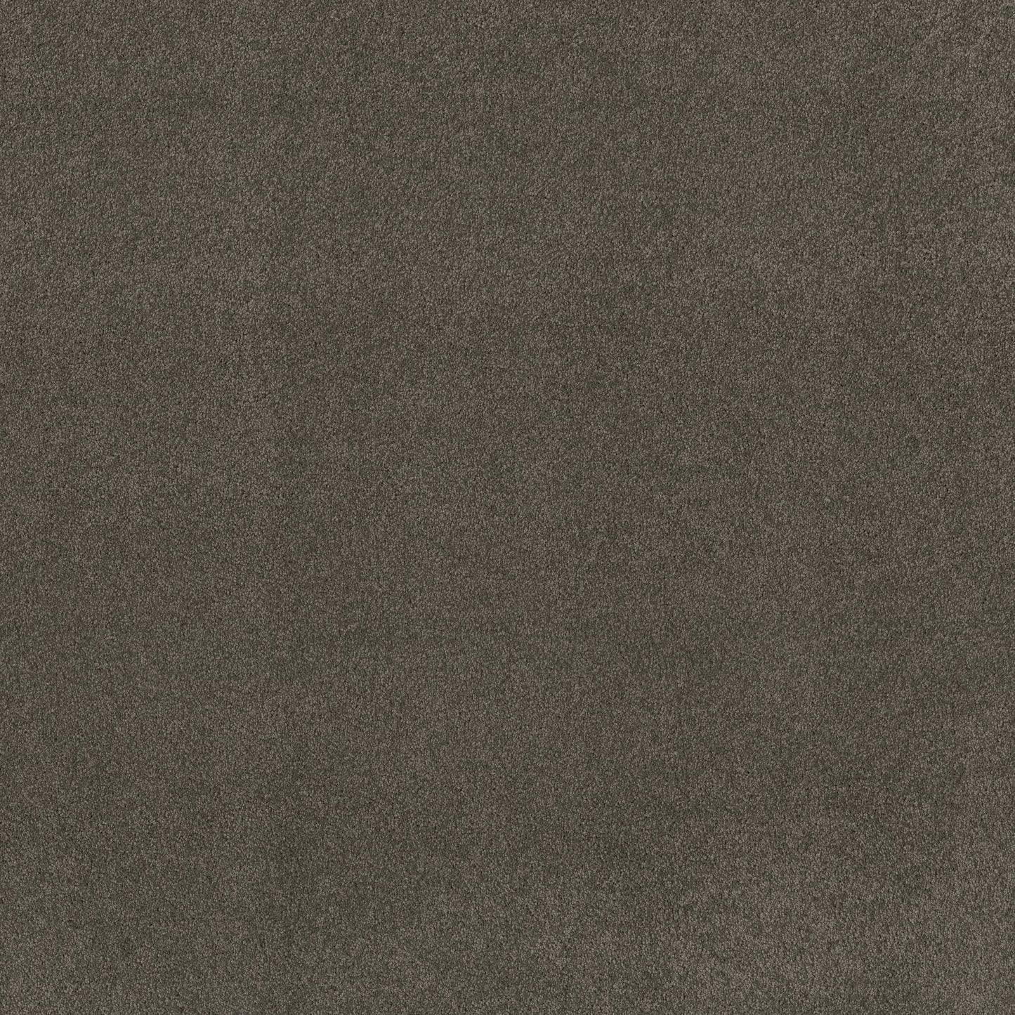 TEXTURE BCF