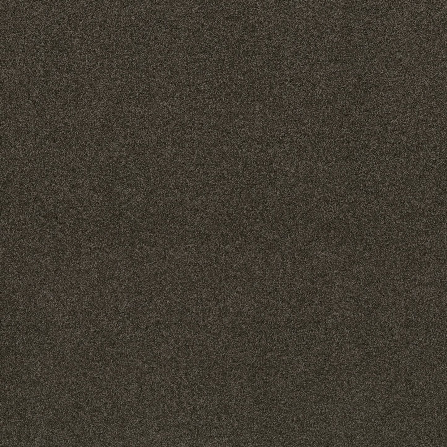 TEXTURE BCF