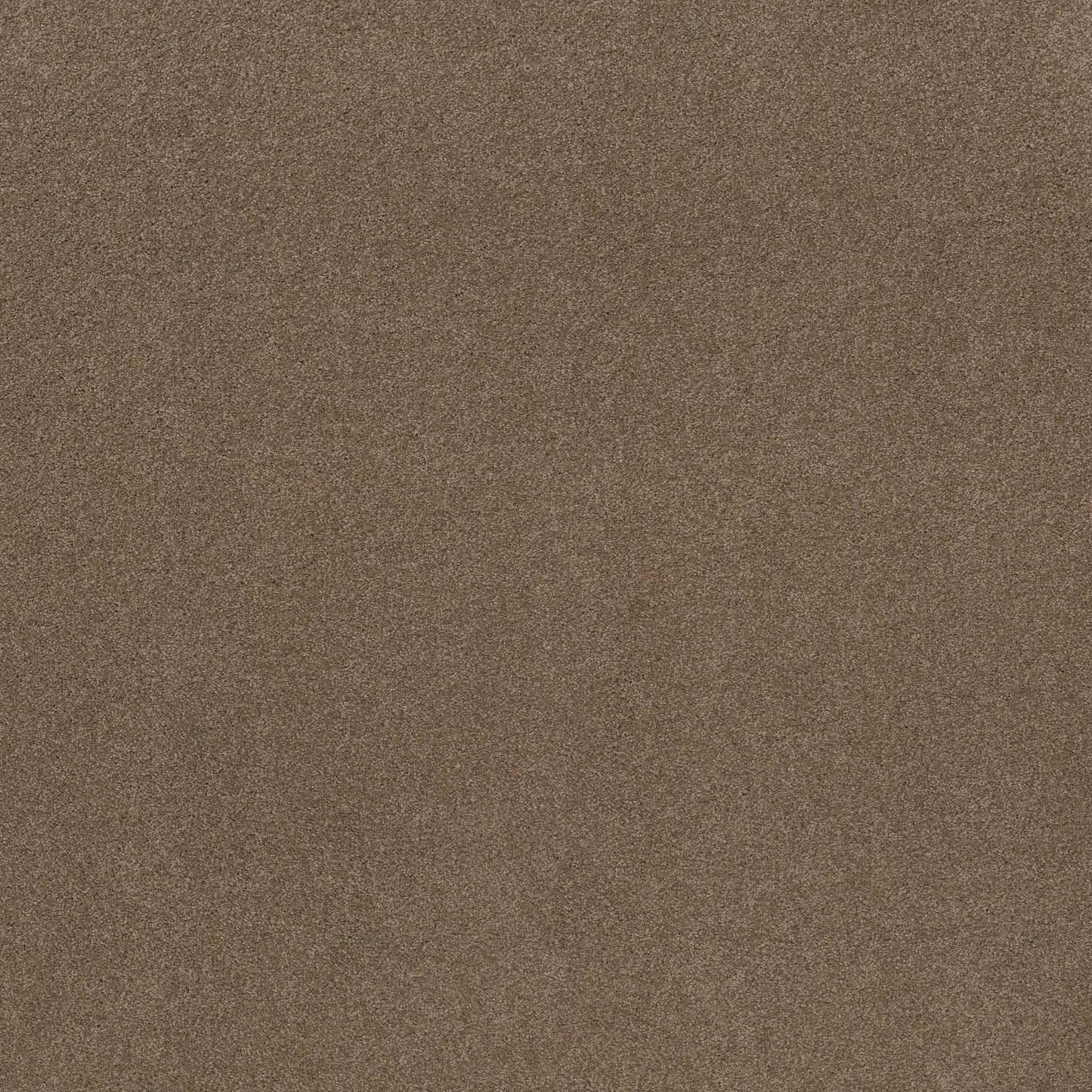 TEXTURE BCF