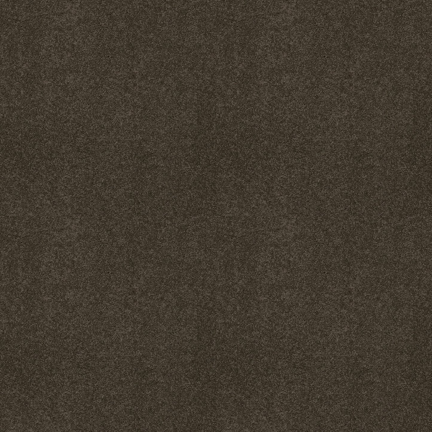 TEXTURE BCF