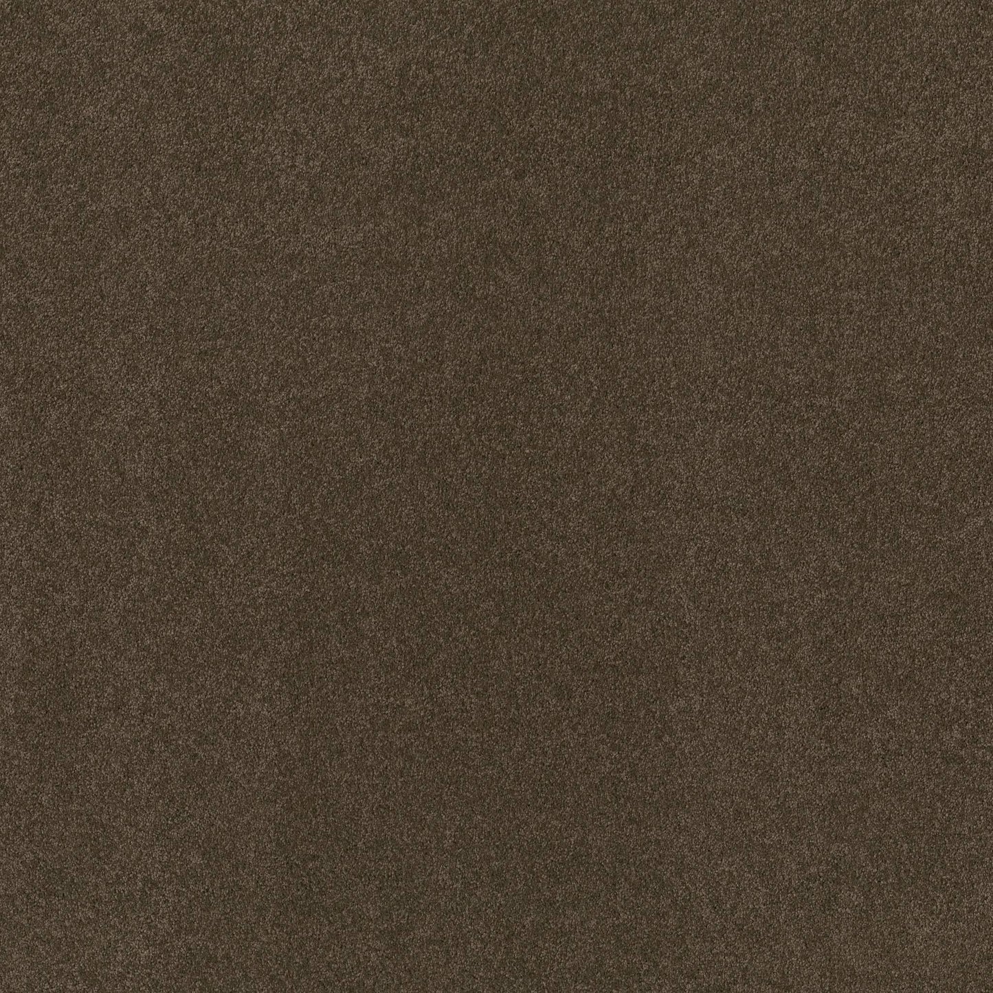 TEXTURE BCF