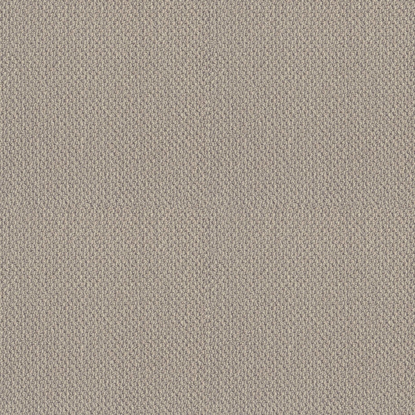 BERBER NYLON LOOP