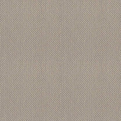 BERBER NYLON LOOP
