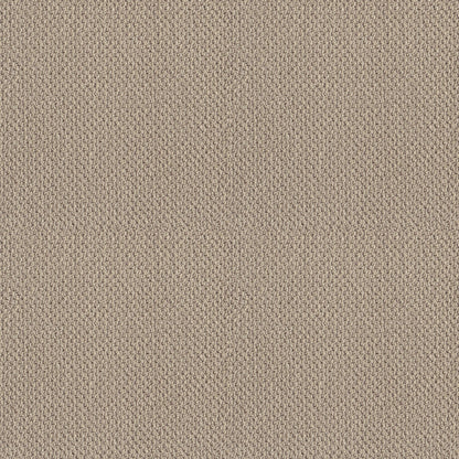 BERBER NYLON LOOP