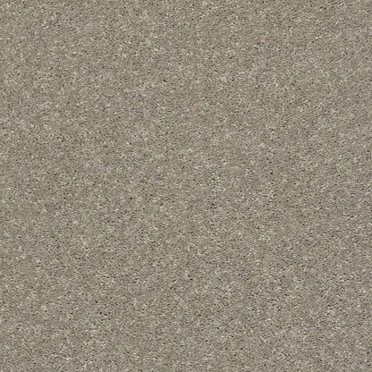 PET BCF