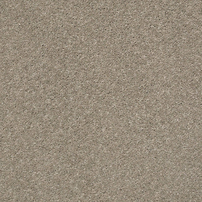 PET BCF