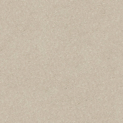 PET BCF