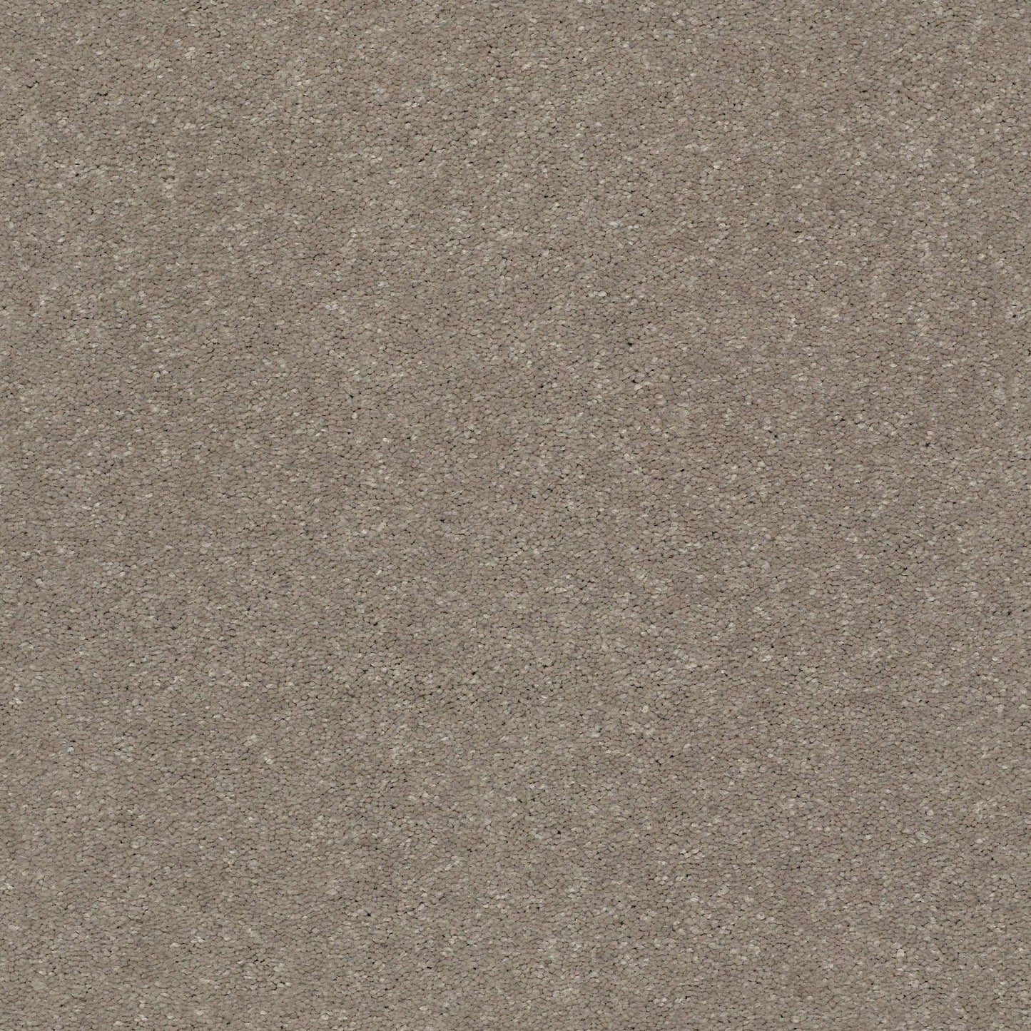 PET BCF