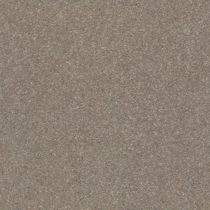 PET BCF