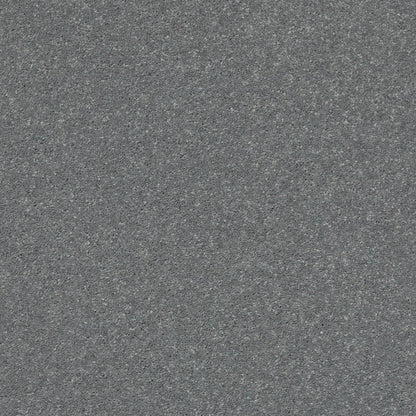 PET BCF