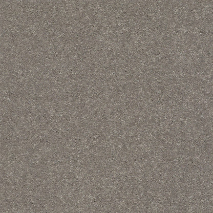 PET BCF