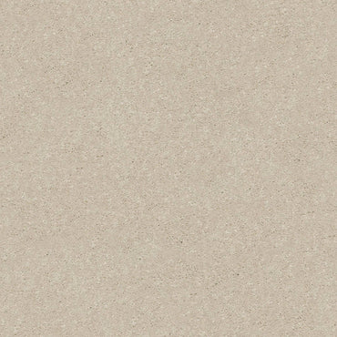 PET BCF