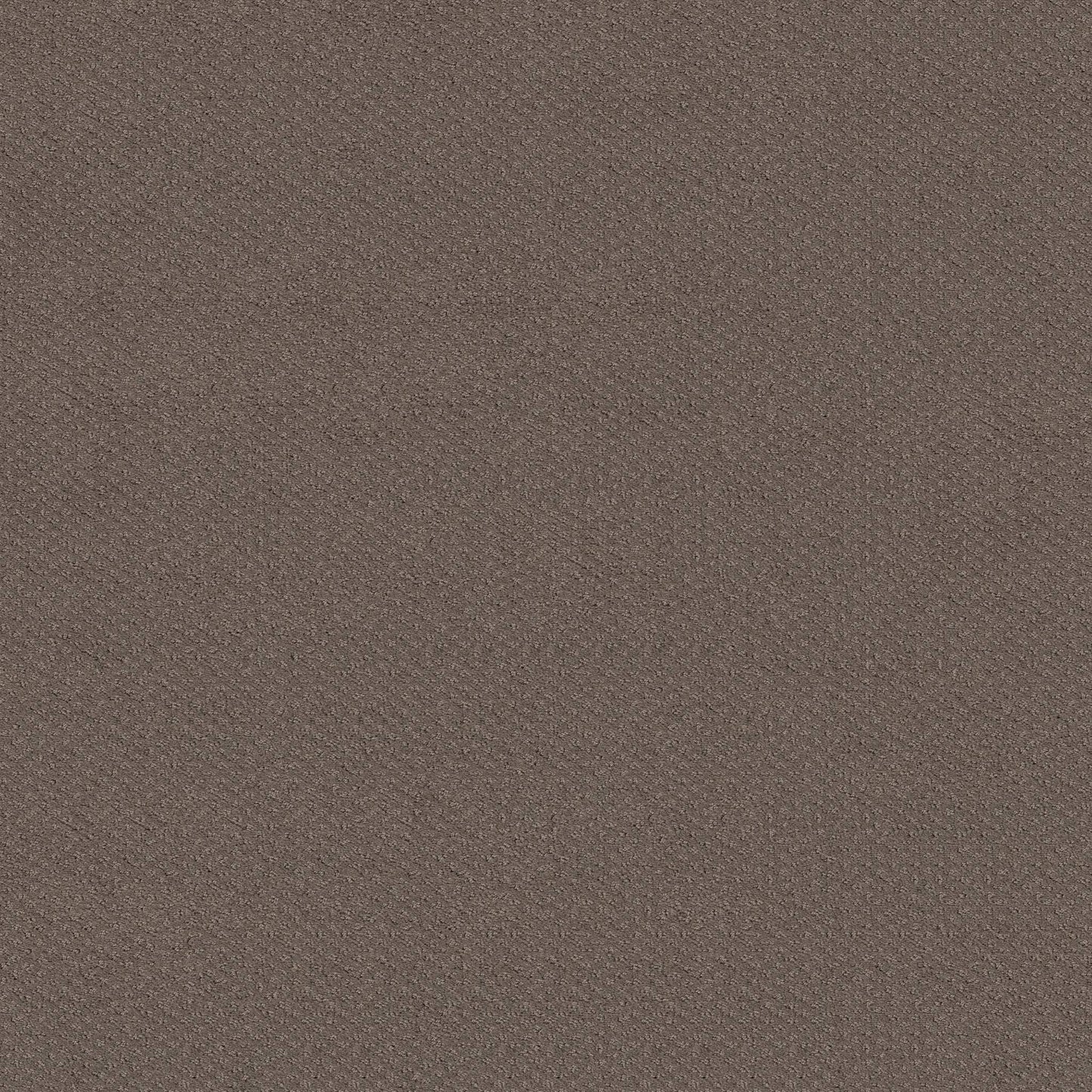 CUT UNCUT  R
