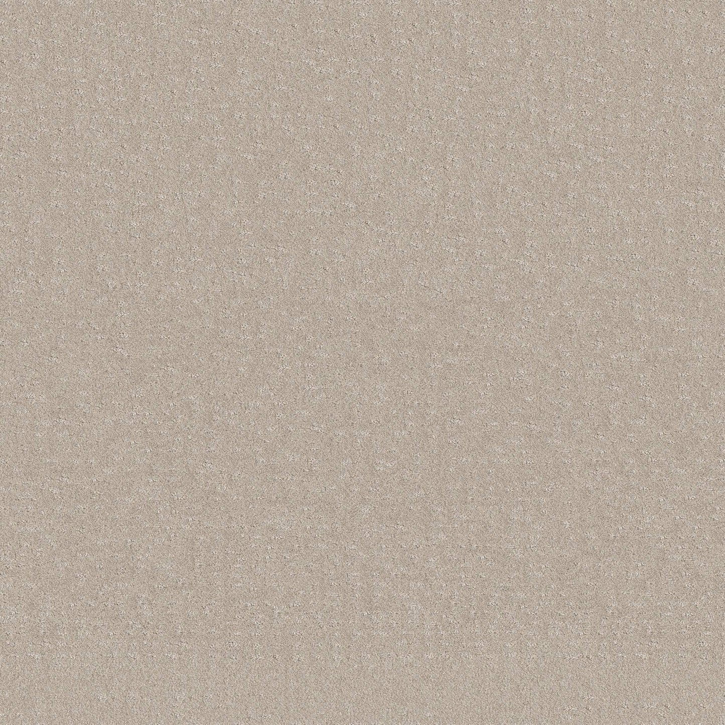 CUT UNCUT  R