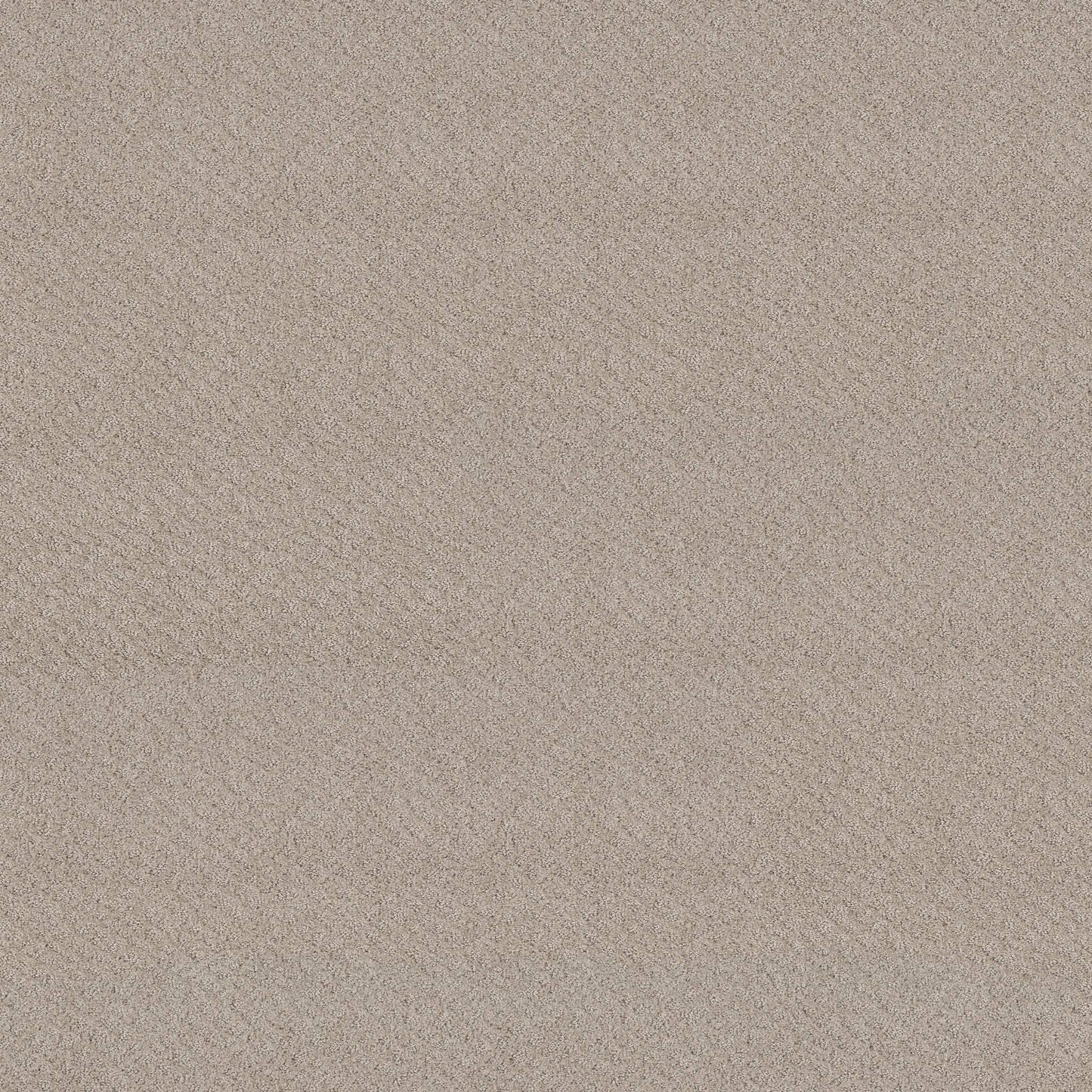 CUT UNCUT  R