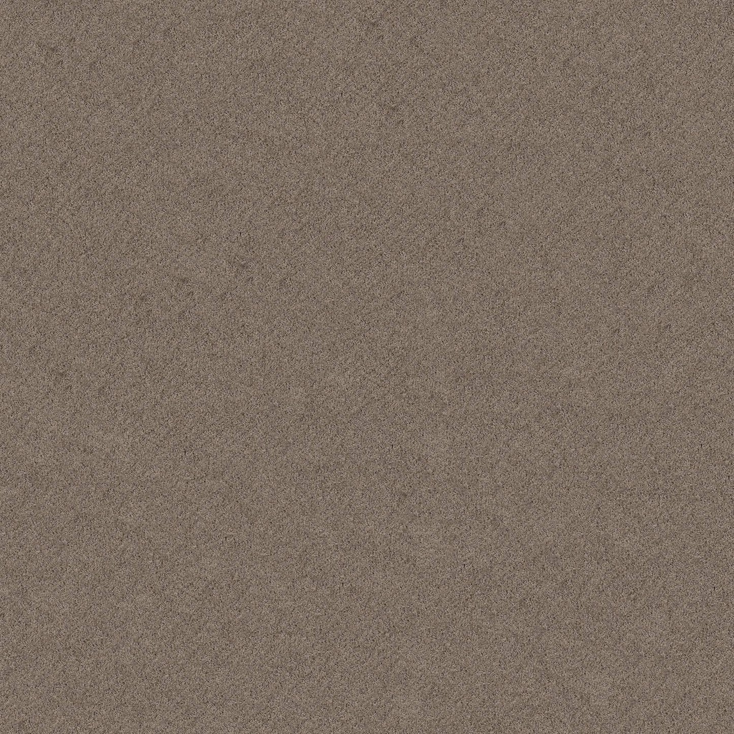 CUT UNCUT  R