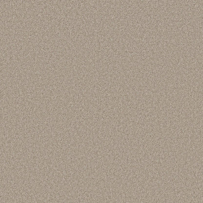 TEXTURE BCF