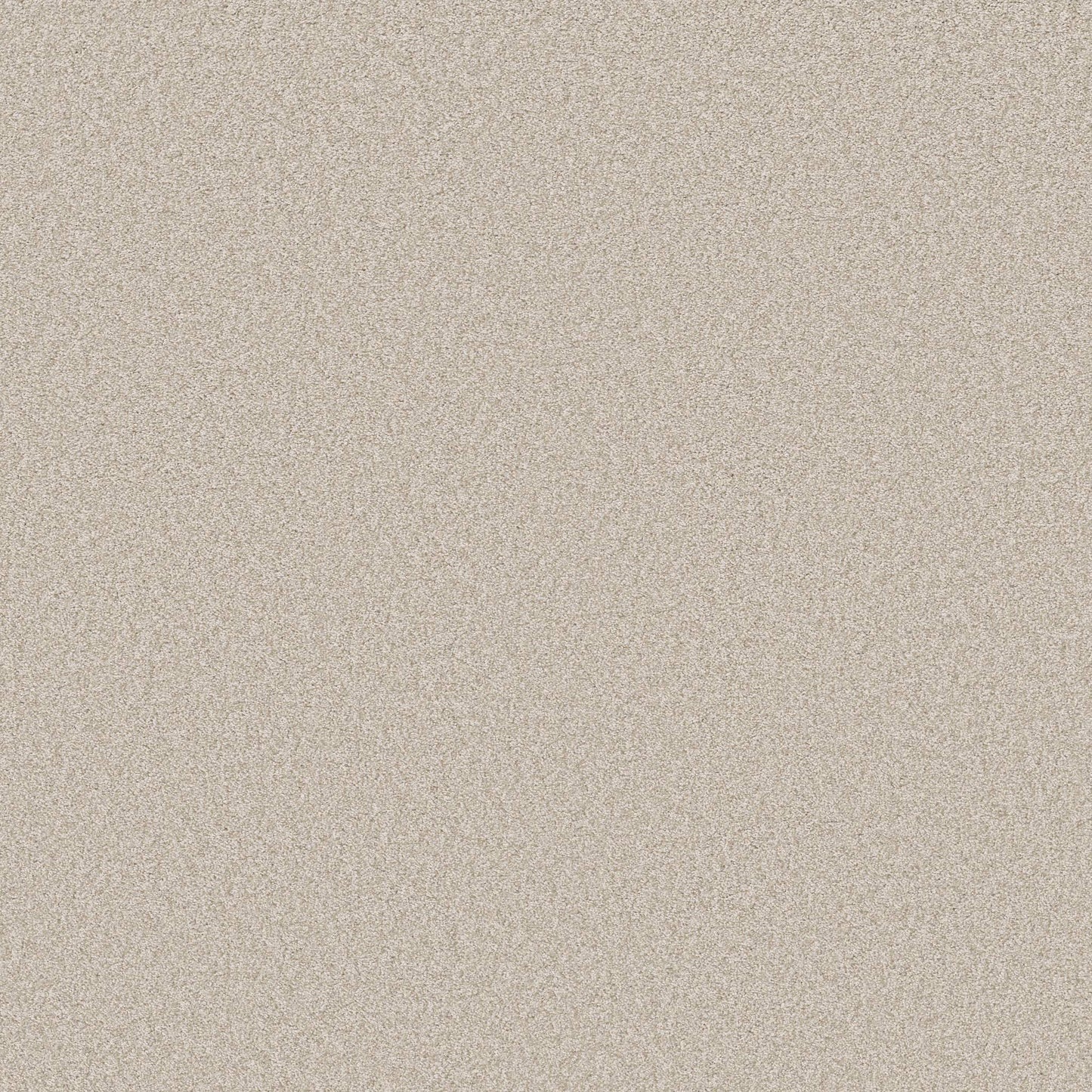 TEXTURE BCF