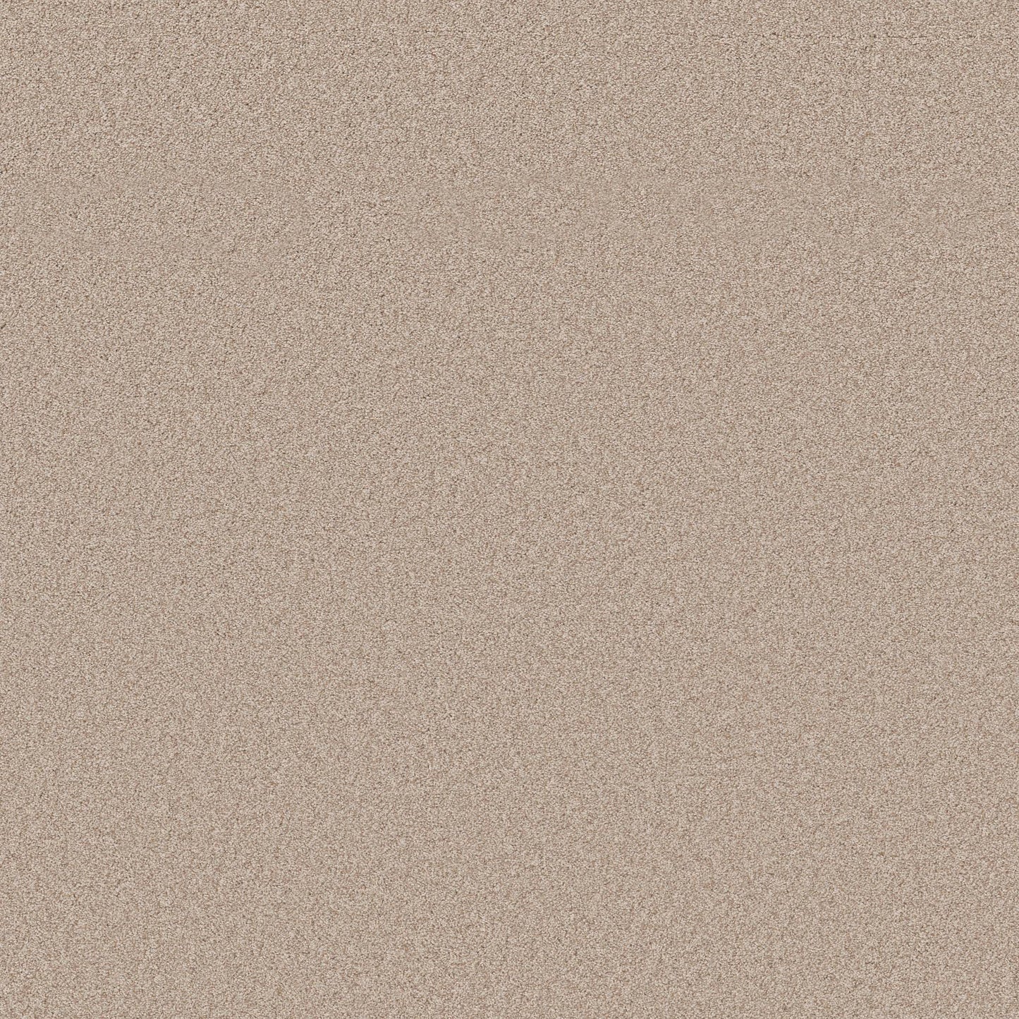 TEXTURE BCF