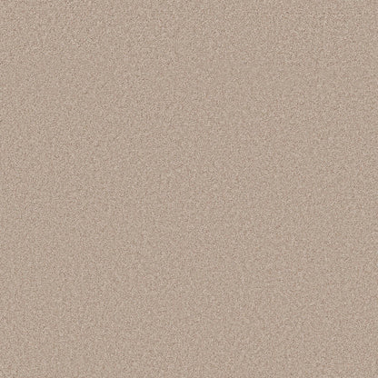 TEXTURE BCF