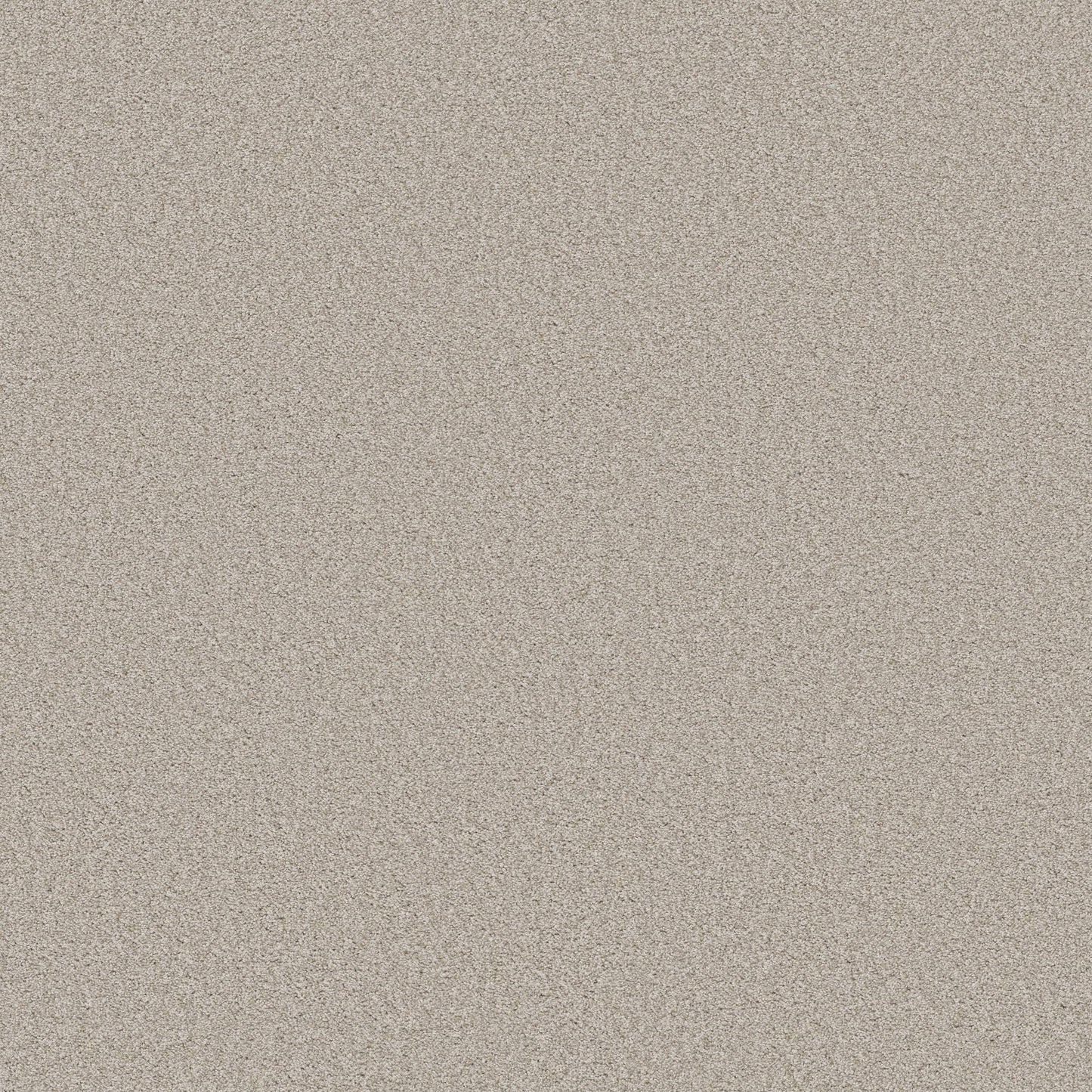 TEXTURE BCF
