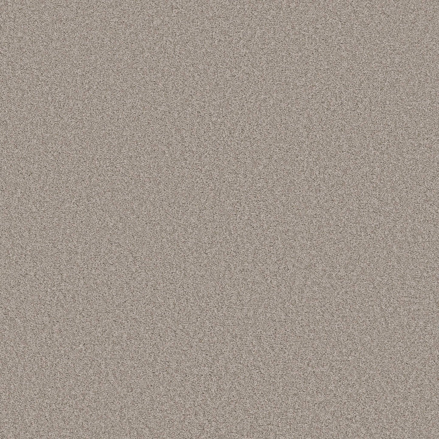 TEXTURE BCF