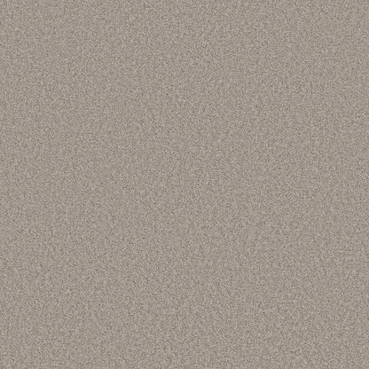 TEXTURE BCF