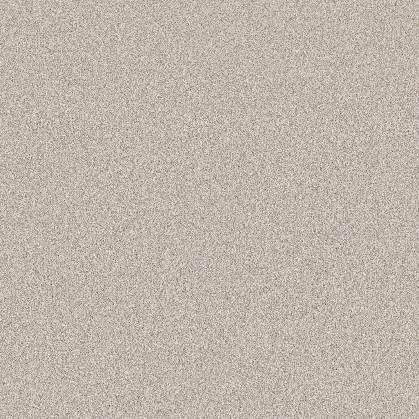 TEXTURE BCF