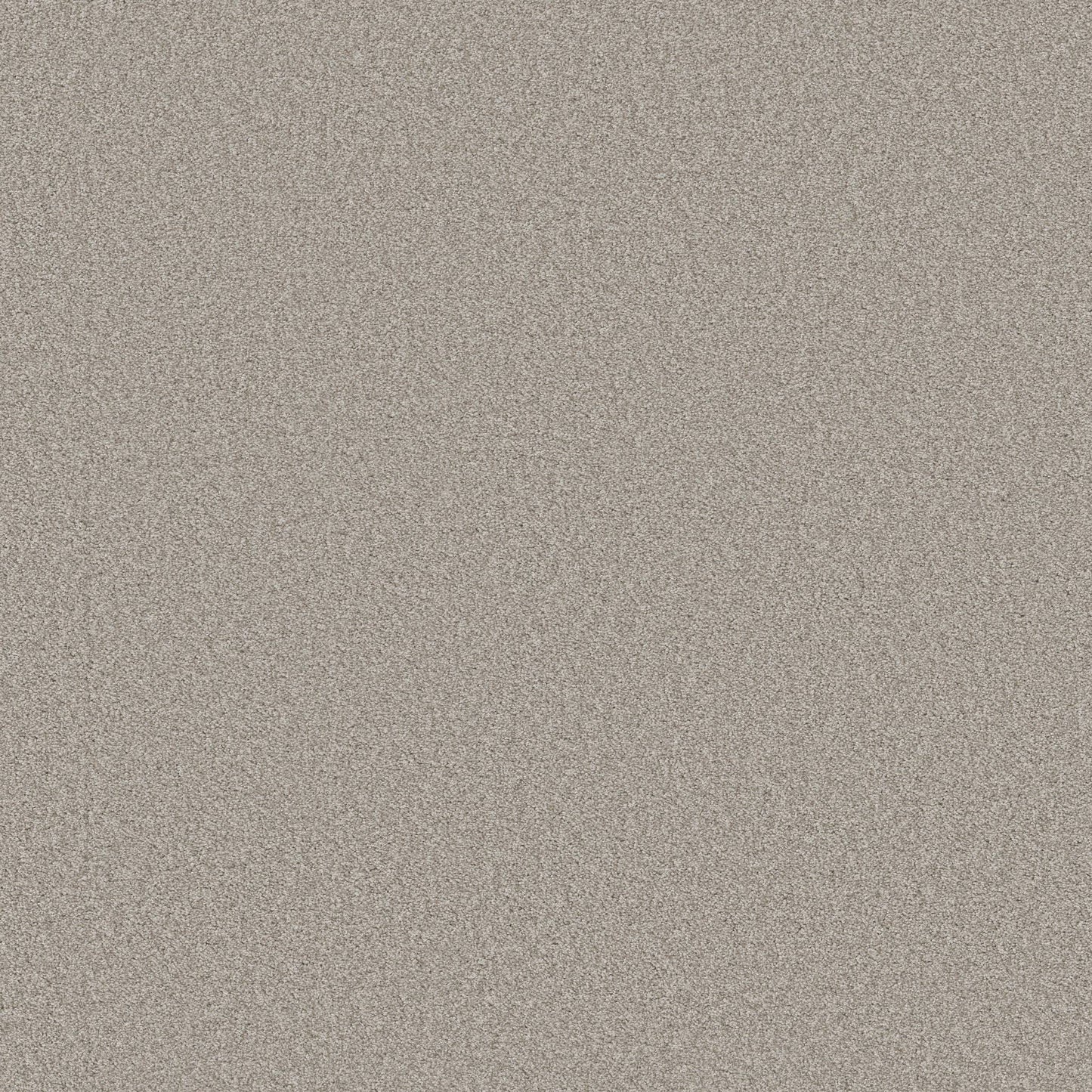 TEXTURE BCF