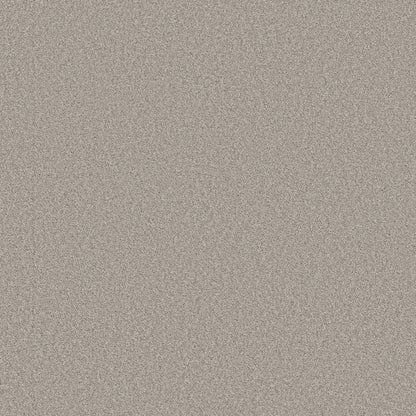 TEXTURE BCF