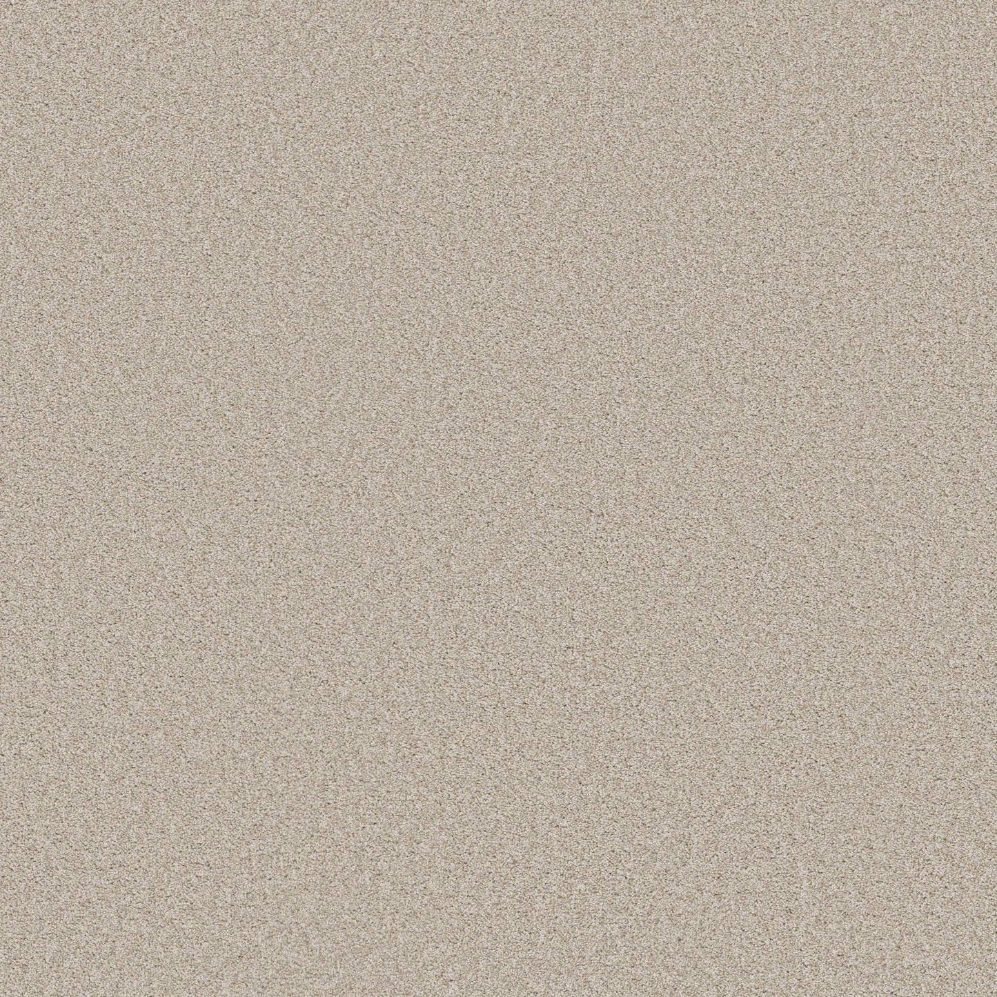 TEXTURE BCF
